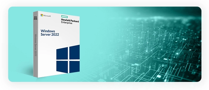 Microsoft Windows Server 2022