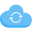 Hybrid Capabilities